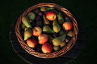 Basket weaving course fruit basket