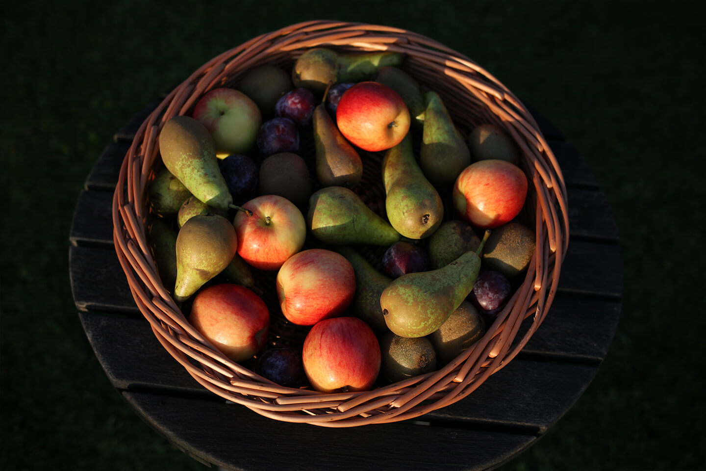 Basket weaving course fruit basket